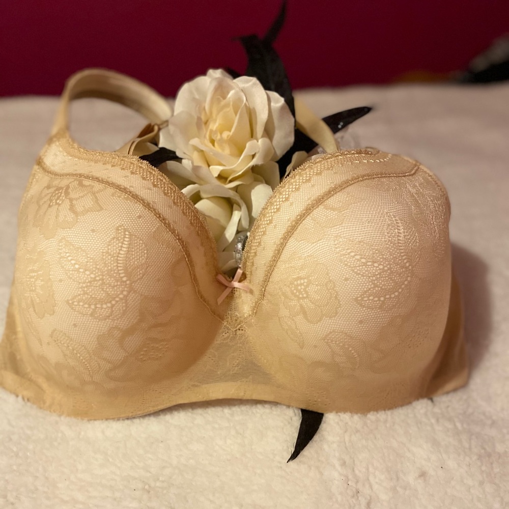 CACIQUE (Lane Bryant) Bal Modern Lace Bra